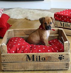 casa da cris caixote reciclado madeira cama de cachorro pets