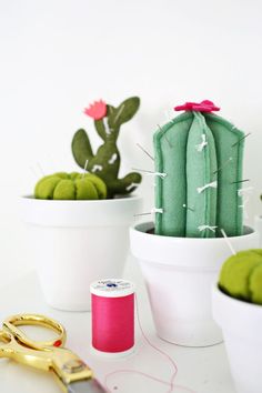 casa-da-cris-alfineteiro-cactus