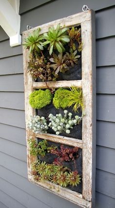 casa-da-cris-reciclagem-de-janela-plantas