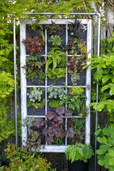 casa-da-cris-reciclagem-de-janelas-plantas