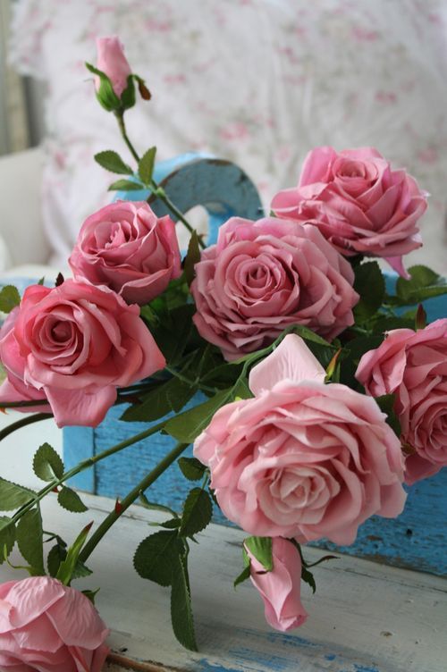 Rosas cor de rosas